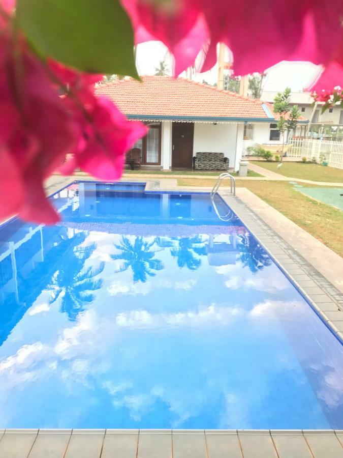 White Rose Beach Resort Marawila Extérieur photo